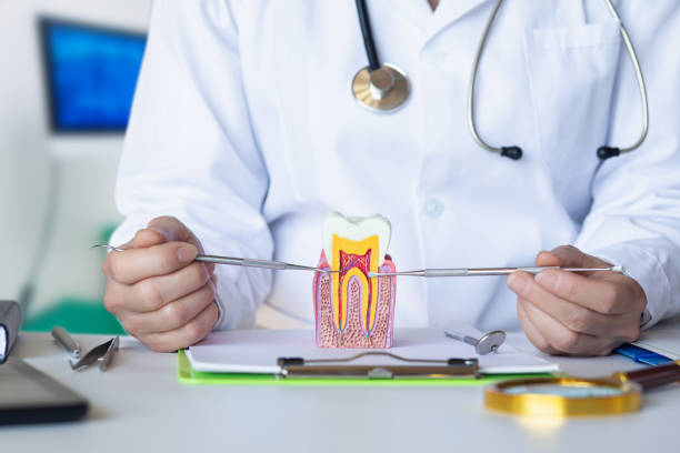 Dentist for Dental Trauma in KY